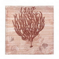 Seaside Coral Canvas Wall Art
